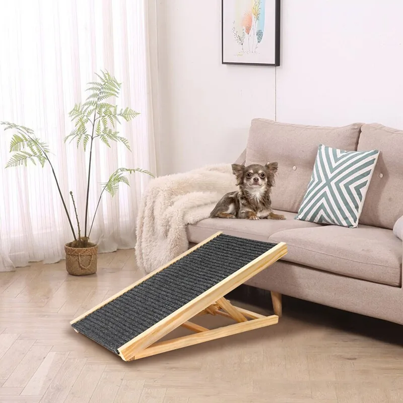 Chihuahua on a sofa with the wooden ramp set against the seat