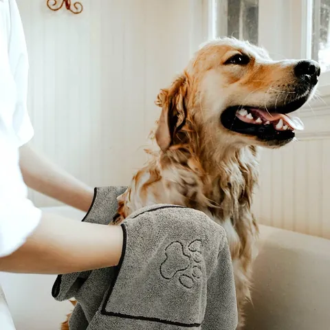 Hands in the pockets of a grey microfibre towel drying a golden retriever after a bath