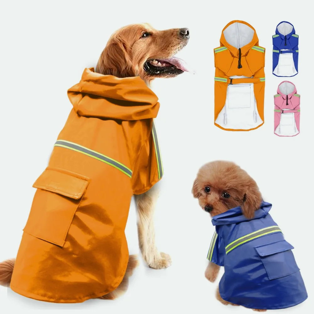 Golden Retriever in the orange raincoat and a small poodle in the same coat in blue